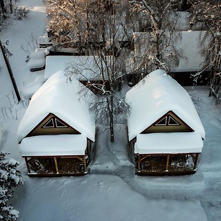 Downtown Talkeetna Cabin! Susitna Cabin Dış mekan fotoğraf