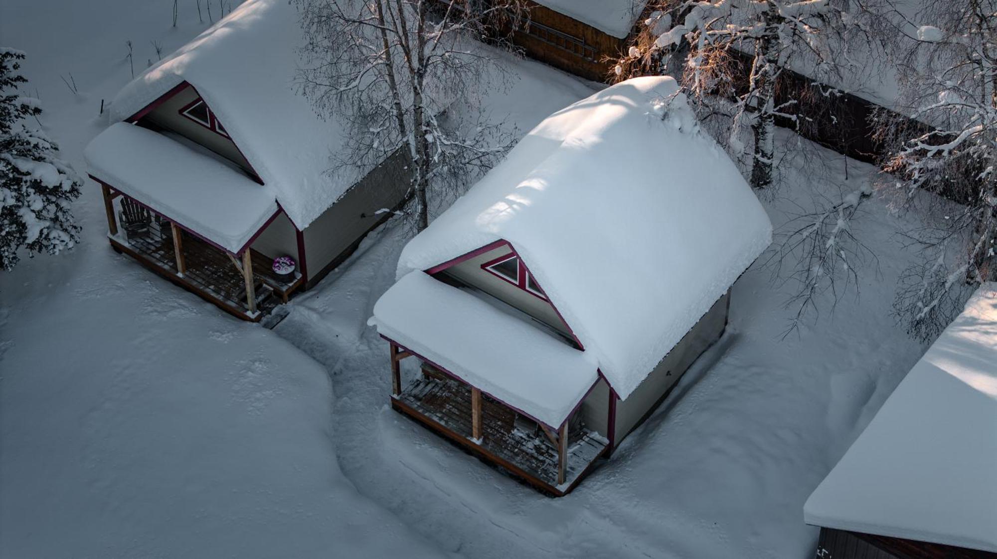 Downtown Talkeetna Cabin! Susitna Cabin Dış mekan fotoğraf