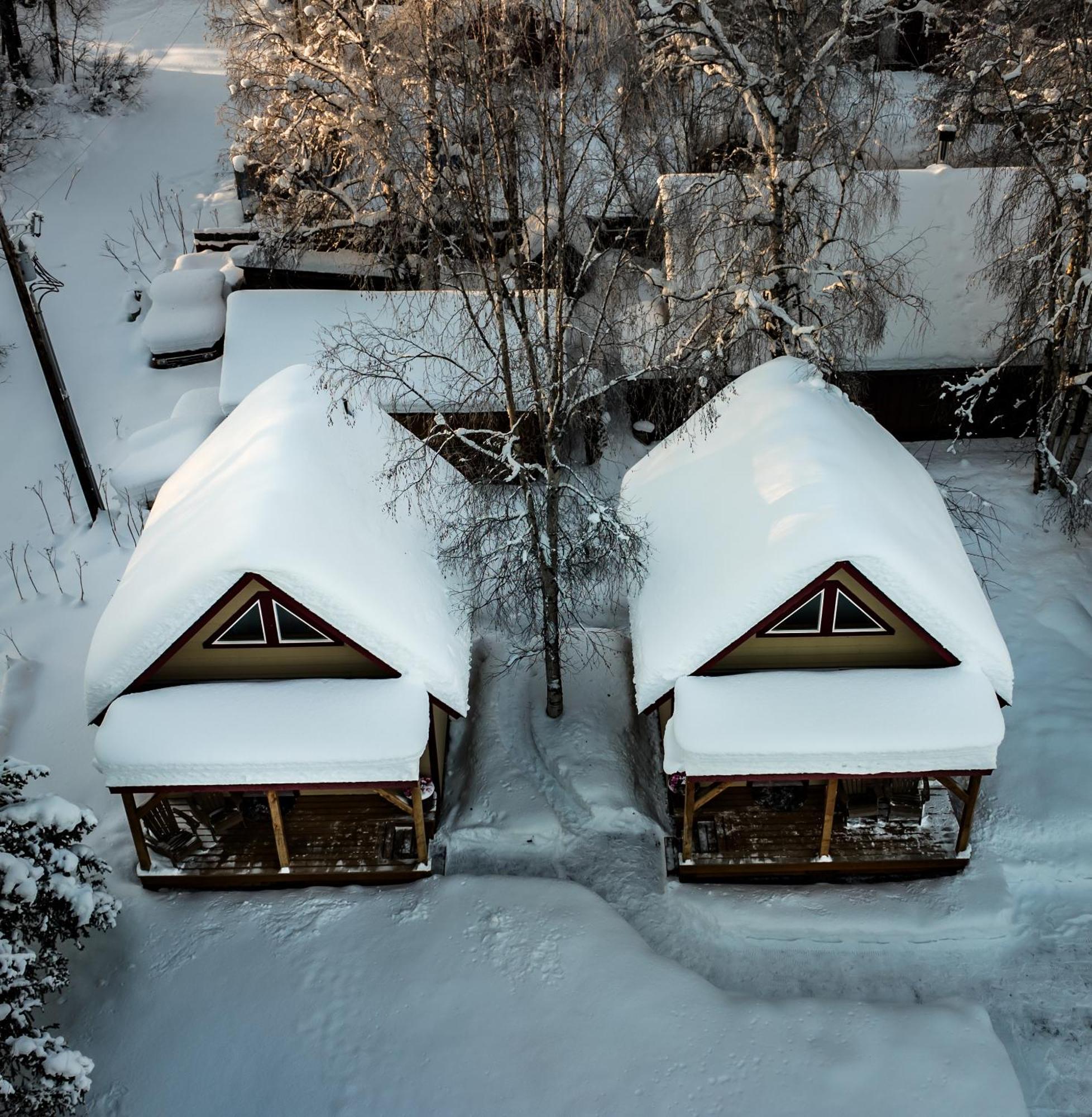Downtown Talkeetna Cabin! Susitna Cabin Dış mekan fotoğraf